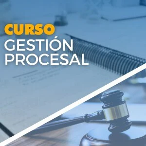 curso gestión procesal