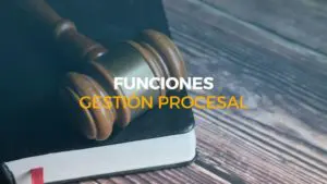 funciones gestión procesal