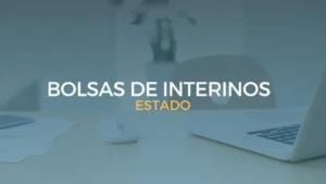 bolsa interinos age